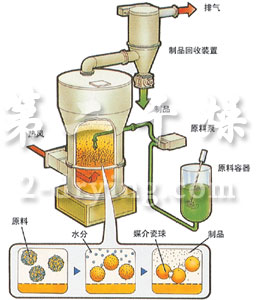 DLG inert particle fluidized bed dryer